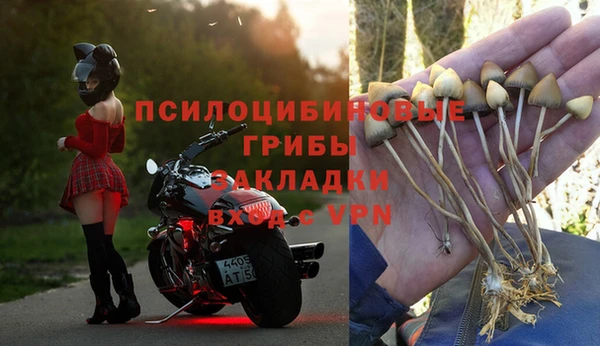 прущая мука Рославль