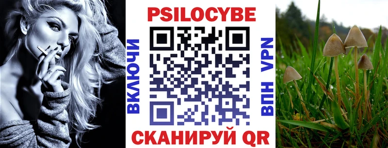 хочу наркоту  Пласт  hydra как зайти  Галлюциногенные грибы Psilocybe 